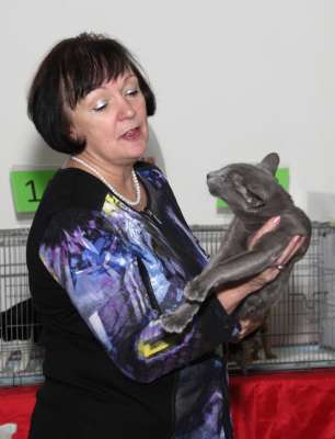 �������� ����� '������� ���-�����' 30 ������-1 ������� 2013., ������������ ��� 4104